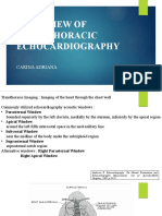 Basic View of Transthoracic Echocardiography Carina