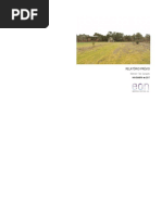 Relatório Prévio da Intervenção