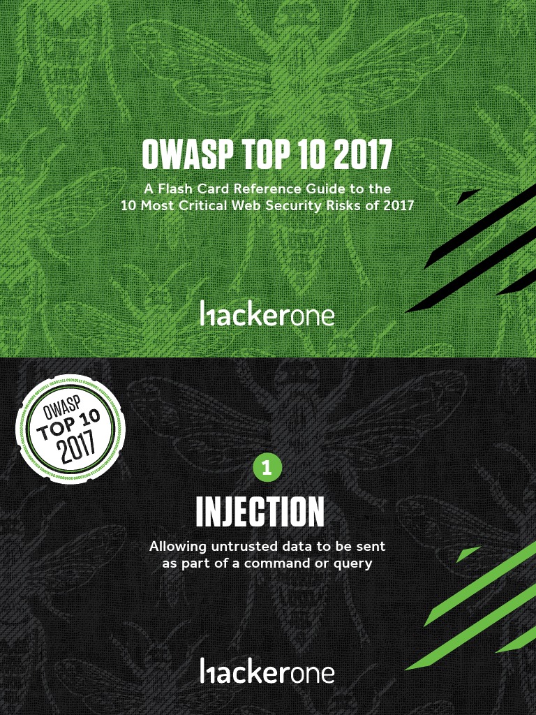 OWASP TOP10 FlashCard PDF Computer Network Security Cyberwarfare