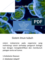 Struktur Sistem Imun