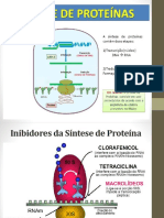 Sintese de proteinas.pptx