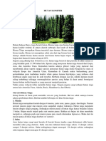 HUTAN KONIFER.docx