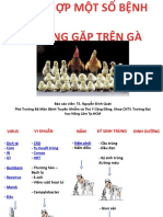 Viusid Và Cặp Đôi Hoàn Hảo - Tren Gia Suc Gia Cam