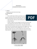 Download Praktikum i Akar Dan Batang by Awal Awel SN39310592 doc pdf