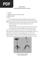 Download Praktikum i Akar Dan Batang by Awal Awel SN39310592 doc pdf