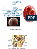 1 Gametogense PDF