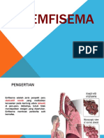 Case Emfisema