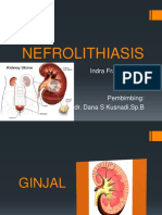 NEFROLITIASIS