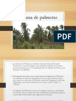 Sabana de palmeras peruana ecorregión única