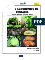 Tecnicas Agronomicas de Frutales.pdf