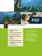 Innovación en Plantas.pdf