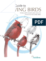 Laws-Guide-to-Drawing-Birds-sample.pdf