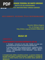 MASER Aula10 Demandas Sociais