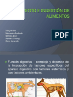 4 Apetito e Ingestión de Alimentos PDF