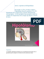 Funciones de Control y Vegetativas Del Hipotálamo para Exponer