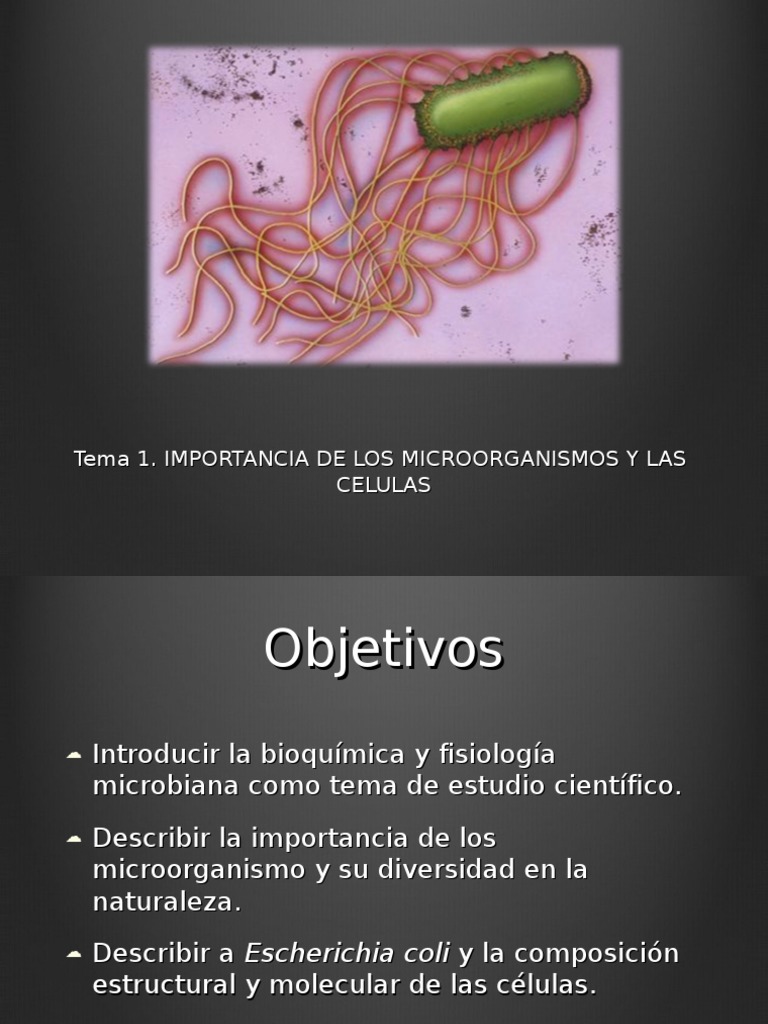 Importancia de Microorganismos | PDF | Las bacterias | Archaea