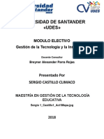 MAPA CONCEPTUAL DEL MODULO ELECTIVO.docx