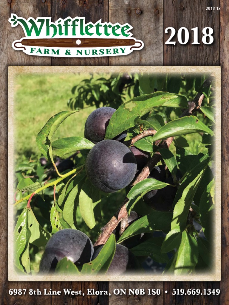 Whiffletree - Catalogue-Hardy Fruit Trees-Automne 2018, PDF, Apple