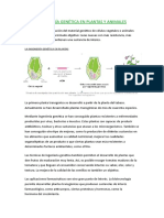 Ingenieria Genetica en Plantas y Animales Ecologia