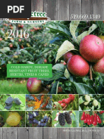 Whiffletree_Catalogue-Hardy Fruit Trees