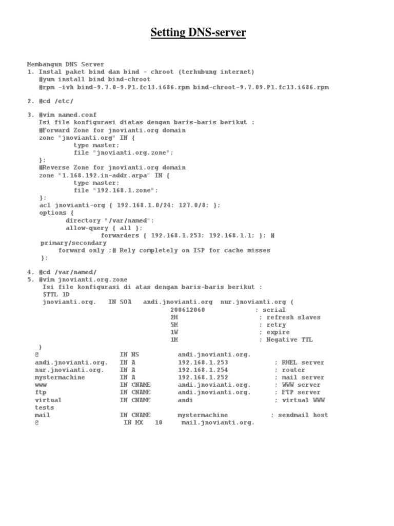 Setting Up a DNS Server Guide | PDF