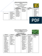 Plantas Medicinales