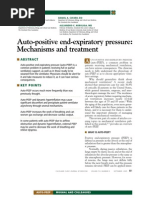 Download Auto-PEEP by JooBrasil SN3931482 doc pdf