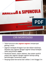 Annelida & Sipuncula