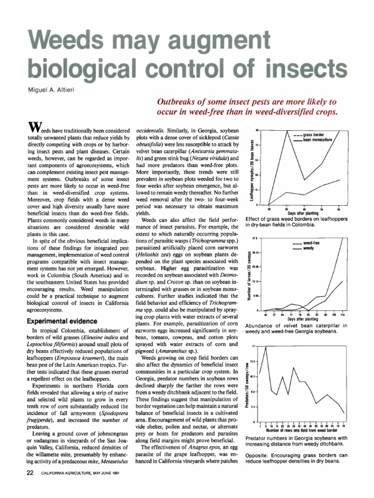 Altieri, 1981. Weeds May Augment Biological Control of Insects PDF