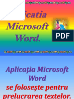 Aplicatia MicrosoftWord