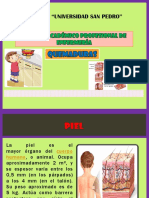 EDITH QUEMADURAS.pptx