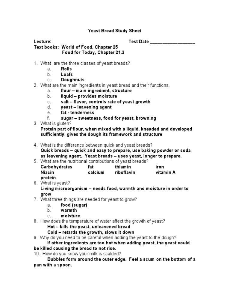 Yeast Bread Study Sheet KEY PDF PDF Breads Dough