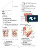 (Doc Isidro) The Abdominal Wall and Peritoneum PDF