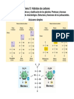 Carbohidratos