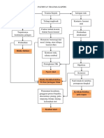 Pathway Trauma Kapitis