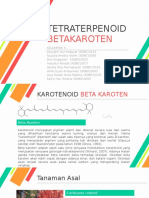 Tetraterpenoid - Betakaroten