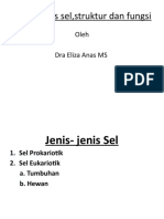 KP 1.1.4.1 Jenis Sel