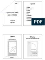 05 Angina Estable 2014