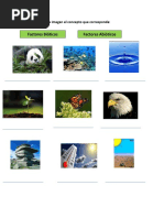 Suma y Resta de Fracciones