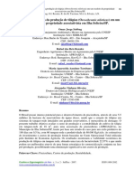 analise economica.pdf