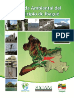 Agenda Ambiental Del Municipio de Ibague 2010 Completa