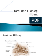 Anatomi Dan Fisiologi Hidung