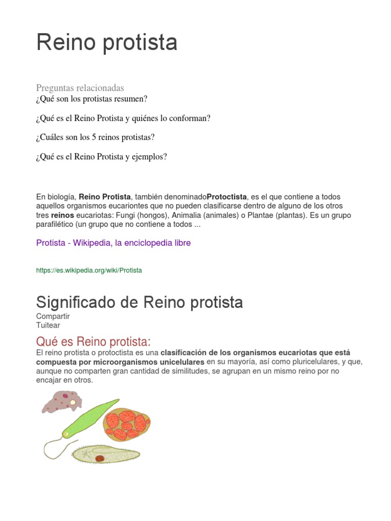Reinos Protista y Monera | PDF | Eucariotas | Plantas