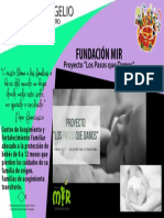 7 Fundación Mir PDF