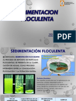 Sedimentación Floculenta