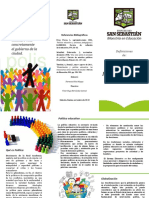 TRIPTICO POLITICA.pdf