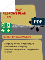 5. ERP.pptx