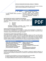 Sensaciones Somáticas Ii Sensación de Dolor, Cefalea y Térmica