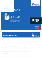 Batería PLAEP-R: Materiales y especificaciones