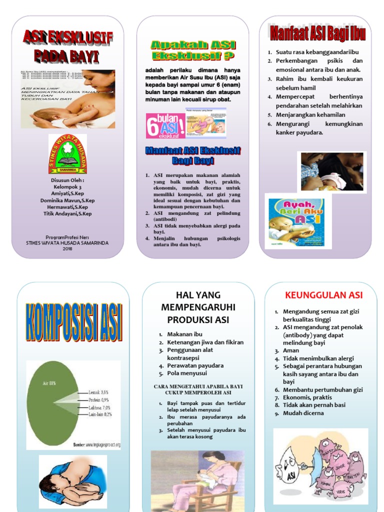 Leaflet Asi | PDF